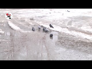 video началось голая купалась в водопаде real video sex