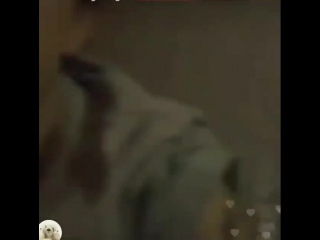 video ig 180220 ёжик прячет свою татушечку трансляция ёнджэ sex