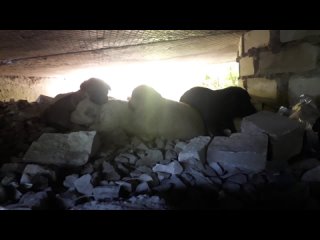 video видео от бездомные и потерянные молодые в переславле sex