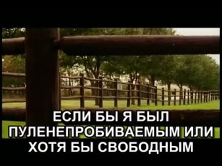 video битва каждого молодого человека every young mans battle 2003 порнография онанизм porno sex