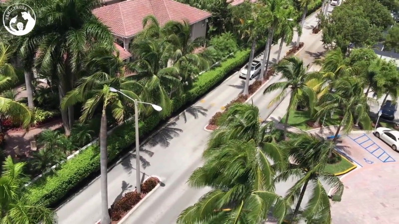 video 2 bed апартаменты sunny isles с потрясающим видом на golden beach sex
