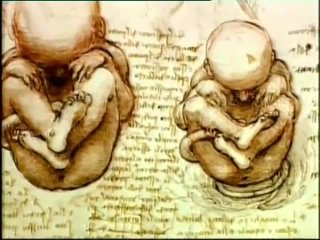 video тайны и загадки картины леонардо да винчи мона лиза джоконда фильм из цикла bbc sex