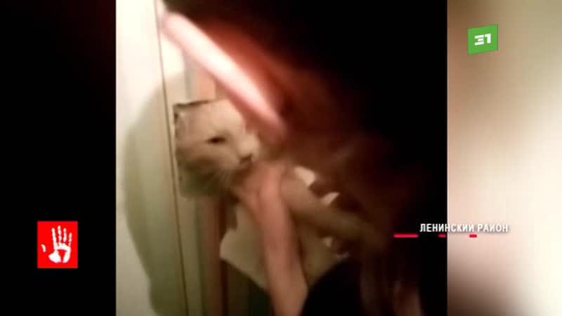 video хозяйка одной из квартир решилась ломать стену чтобы кошку которая застряла в вентиляции sex