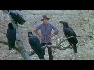 video адриано челентано adriano celentano разговаривает с воронами это тебе не люди с ними можно договориться sex