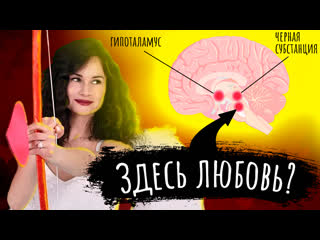 video любовь мозг и отношения как возникают чувства с точки зрения науки sex