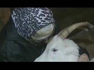 video 80 летней бабушке вынесли приговор росли цветы мака sex