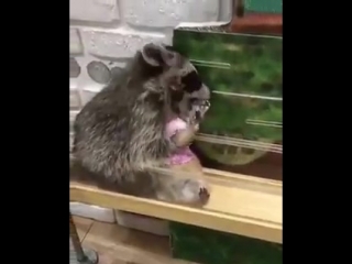 video ах оставь меня шалун шок супер смешное видео жесть прикол юмор игры не порно не секс sex
