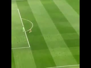 video девушка выбежала на футбольное поле в финале лиги чемпионов голая болельщица на матче ливерпуль тоттенхэм футбол sex