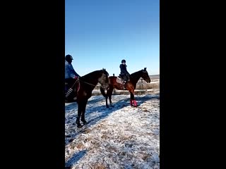 video видео от частная конюшня старица sex