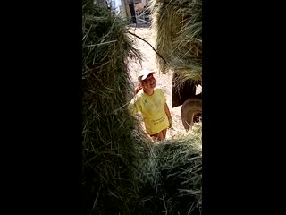 video видео от частная конюшня старица sex