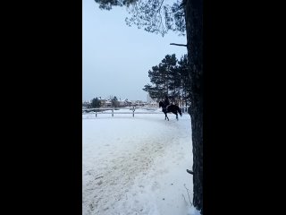 video видео от частная конюшня старица sex