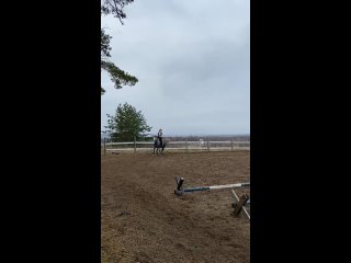 video видео от частная конюшня старица sex