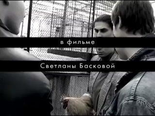 video алексей панин про фильм голова sex