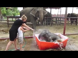 video принять ванну выпить чашечку кофэ sex