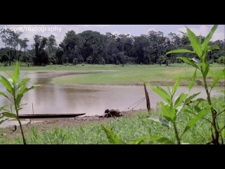 video сиськи писька и попка люсии костантини lucia costantini в фильме ад каннибалов cannibal holocaust 1980 руджеро sex