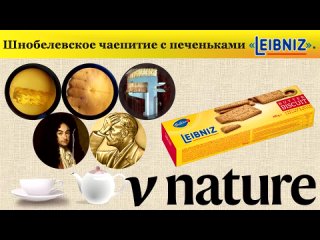 video шнобелевское чаепитие с печеньками лейбниц sex