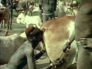 video обнажённая магия magia nuda 1975 альфредо кастильони анджело кастильони гуидо гуэрассио hd sex