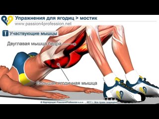video прокачиваем попу тренируем ягодичные мышцы sex