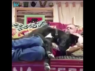 video отец нет мы не будем заводить молодые семья заводит секс sex