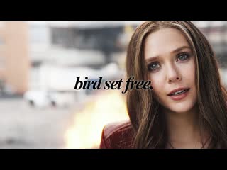 video ванда максимофф wanda maximoff алая ведьма scarlet witch bird set free sex