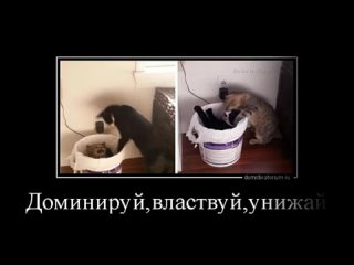 video неприличные правдивые новые русские демотиваторы вялотекущая месть наша russia sex