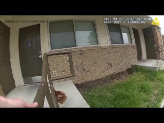 video американские полицейские получили необычный вызов курица проникла во двор к женщине и не собиралась уходить она sex