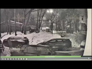 video мужчина продырявил 27 автомобильных колес за ночь в химках sex