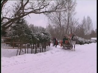 video особенности банной политики или баня 2 2000 эротический фильм sex
