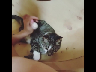 video indian waveya ari on instagram 070716 sex