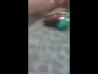 video побег крабов из багажа в аэропорте нью йорка sex