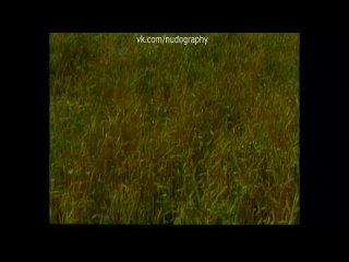 video ольга егорова голая в фильме любить по русски 1995 евгений матвеев sex
