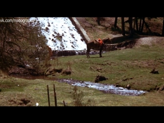 video делорес тейлор delores taylor голая в фильме билли джек billy jack 1971 том лофлин sex