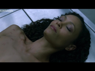 video в операционной тэнди ньютон thandie newton голая в сериале мир дикого запада westworld 2016 s01e05 1080p sex