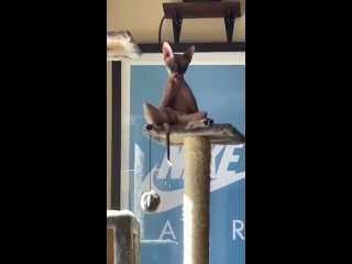 video мое состояние к концу недели sex