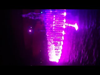 video ocean park в гонконге вечернее представление для гостей парка sex