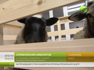 video в салехарде определят лучшего молодого ветеринара ямала sex