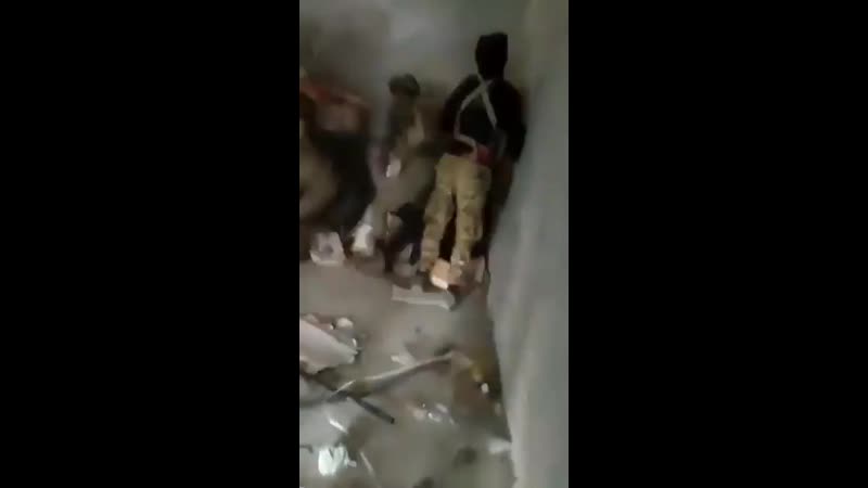 video турецкие солдаты зверски избивают пленных сирийских военных один из боевиков даже пытался остановить их sex