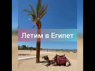 video rap vid 227511218 074337 638 mp4 sex
