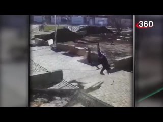 video налетел на цепь и свернул себе шею охота на электросамокатчиков объявлена в екатеринбурге sex