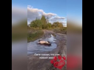video мама не разрешает купаться в луже но папа сказал что все можно sex