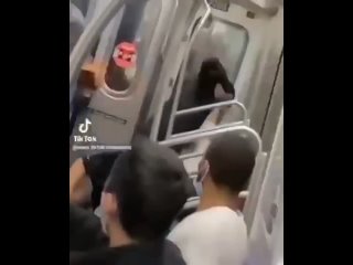 video преступления черных против белых это повседневное явление в каждом американском городе но средства массовой sex