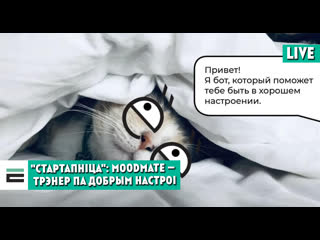 video стартапніца moodmate персанальны трэнер па добрым настроі sex