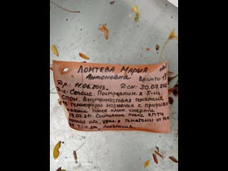 video что могло произойти почему гроб оказался вскрыт и выброшен в лесополосе sex