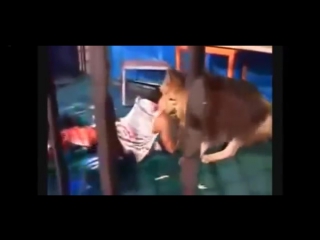 video нападения молодые на людей слабонервным не смотреть sex