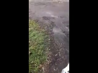 video водителю бы рот промыть с мылом sex