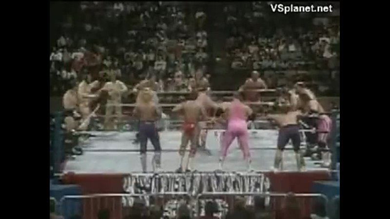 video wwf survivor series 1988 sex