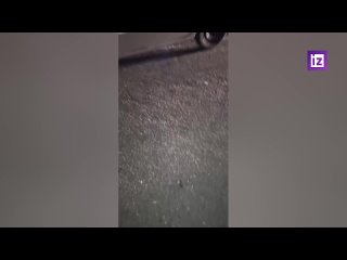 video yqrapldsr vid 20220805 004731 637 mp4 sex