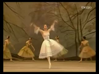 video жизель в постаное юрия григоровича наталья бессмертнова и юрий васюченко giselle choreographed by yuri grigorovich sex