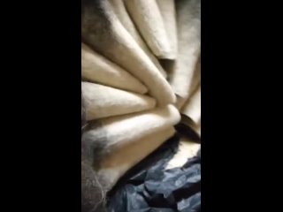 video ещё бы ватники прислали всушники возмущены прибывшими на позицию валенками sex