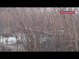 video т 80 разгромили бронетехнику националистов в зоне сво sex